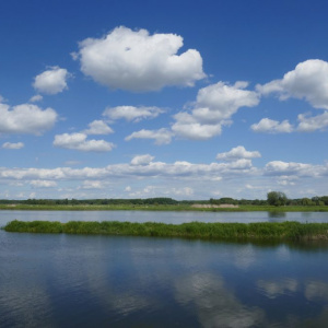 76_P1080838
