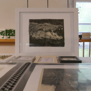 Heike Pander